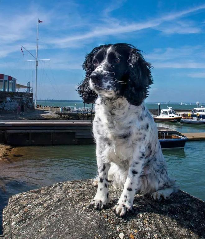 Gray'S Inn Cowes  Bagian luar foto